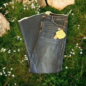 Knox Rose Distressed Flare Jeans NWT Size-16